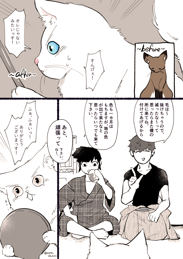 【創作漫画】3話目5～8ページ

猫塗り屋さんと『長毛になりたい短毛猫さん』と毛増し屋さん (後半)

  #創作漫画 #ラフ漫画 #猫漫画 