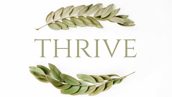 simplifydays's tweet image. "This is what it means to thrive – to live a life full of the things you want in them, and not more. To live a better quality of life without having to spend and buy and consume.” -@zen_habits - 

Are you ready to thrive? What makes your life wonderful, beautiful and inspiring?