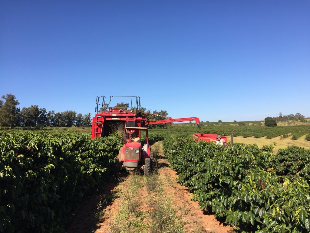 E os trabalhos estão a todo vapor aqui na Fazenda!