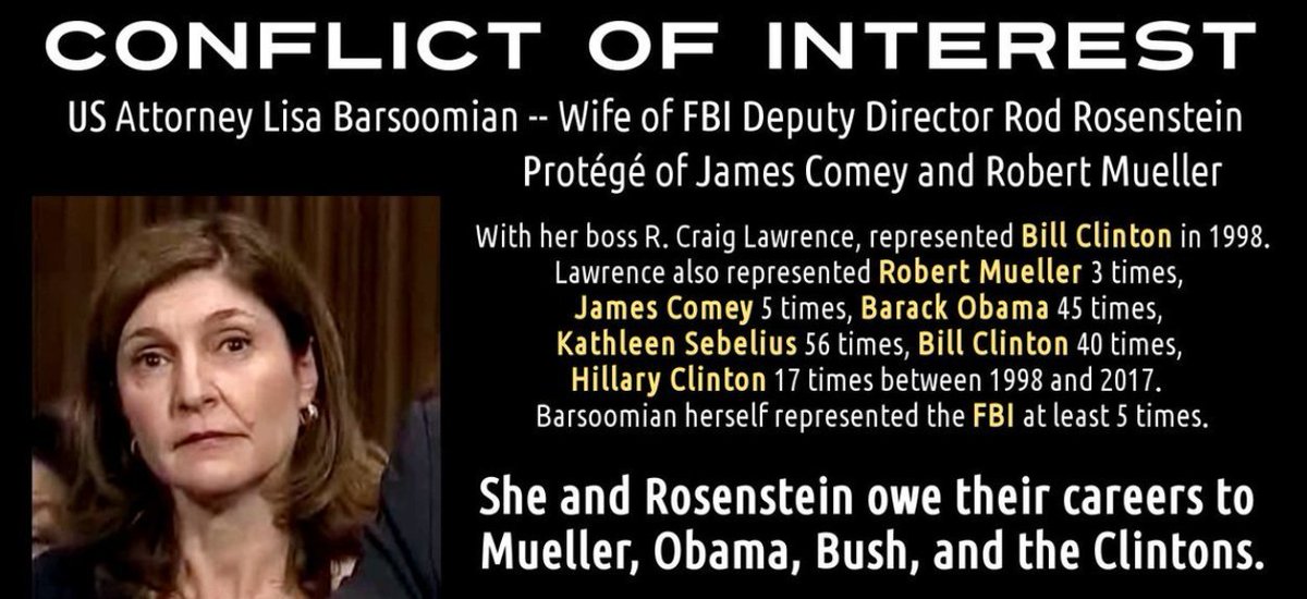 Lisa Barsoomian - Rod Rosenstein's wife - MEME - Carpet Bomb social media with this graphic