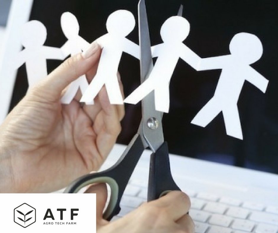 agro_tech_farm's tweet photo. ATF-Enterprise allows agroholdings to optimize production costs for personnel in more than 10 times! There is no need in a large amount of people to fix up with the cultivation of plants.โ#ico #blockchaintechnology #agrotechfarm https://t.co/rfJ28pePG2