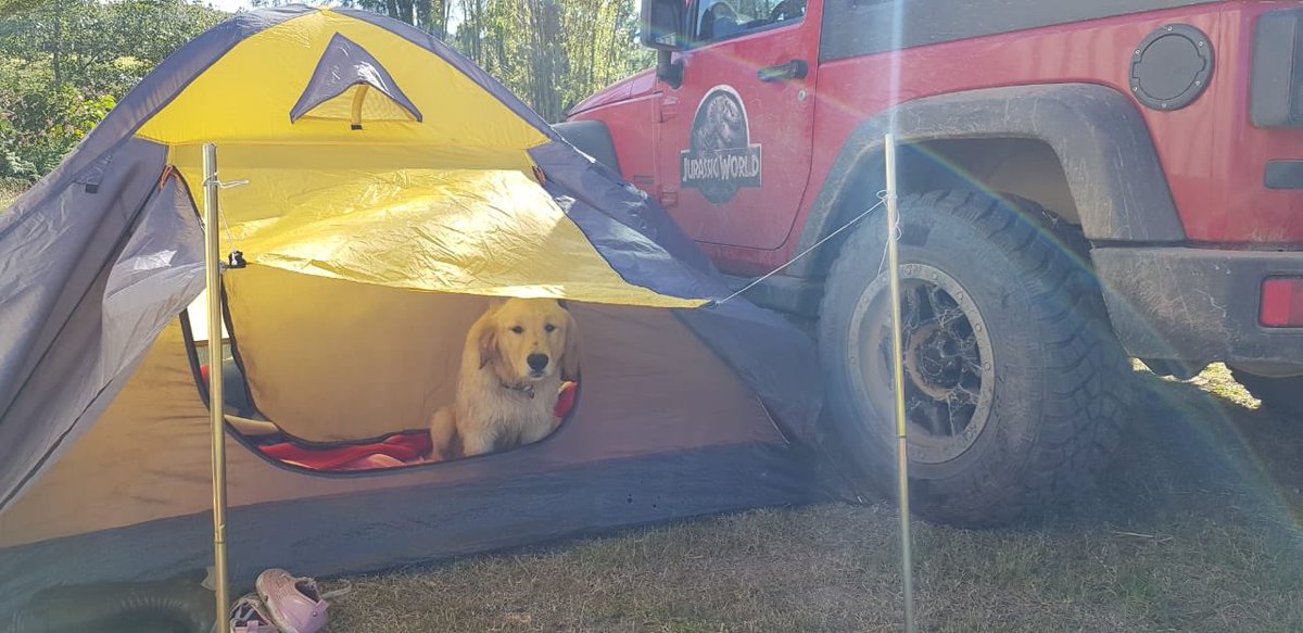 JeeperosDC's tweet photo. #FelizDomingo #jeeperosDC https://t.co/XAvLnH9A2t