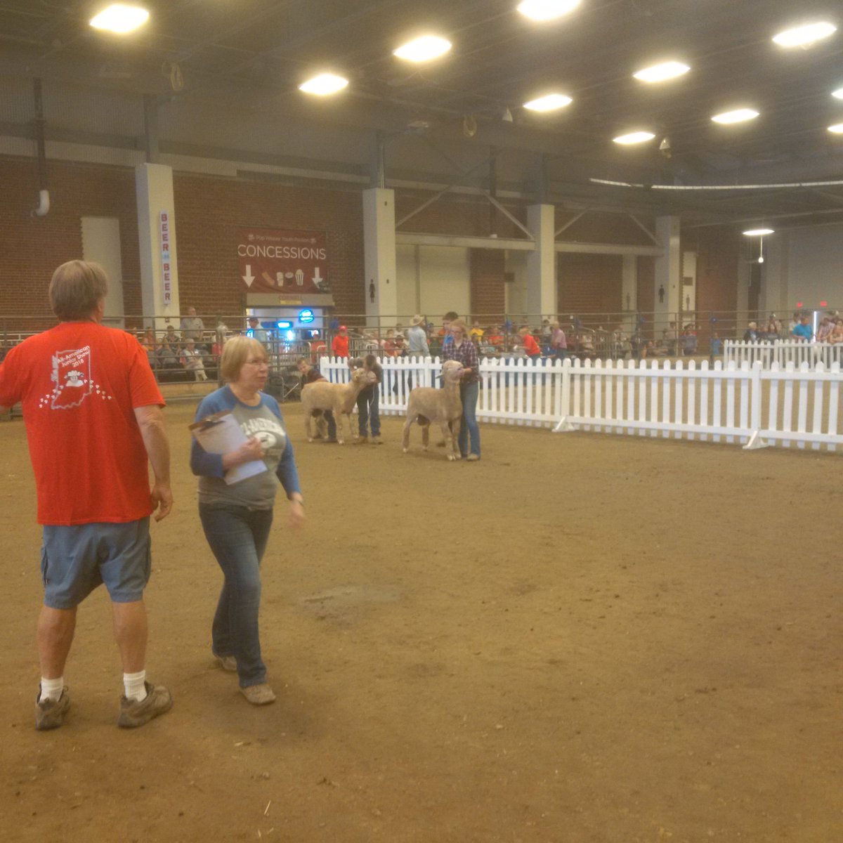 MrBreedingSheep's tweet photo. @RambouilletAssn Show is underway at the All-American https://t.co/wLNk0rMyLe