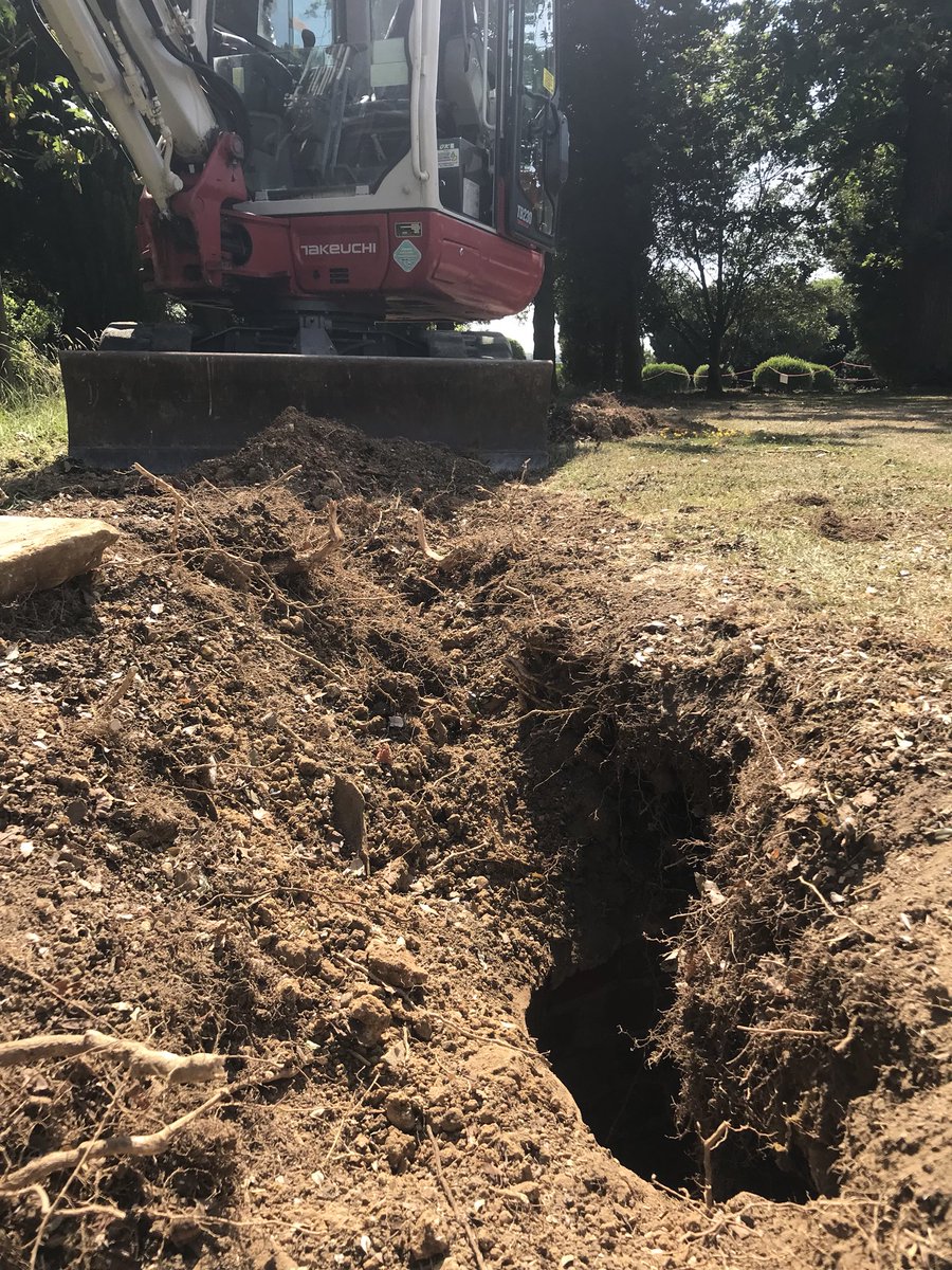 JackLindfield's tweet photo. Phase 3 of the Box Blight Project has started and we’ve already found some hidden archeology! https://t.co/TVvrG8gQSy
