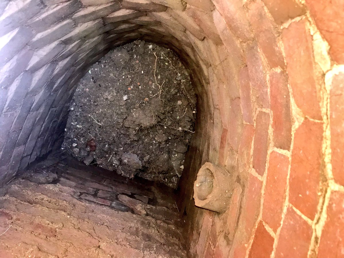 JackLindfield's tweet photo. Phase 3 of the Box Blight Project has started and we’ve already found some hidden archeology! https://t.co/TVvrG8gQSy