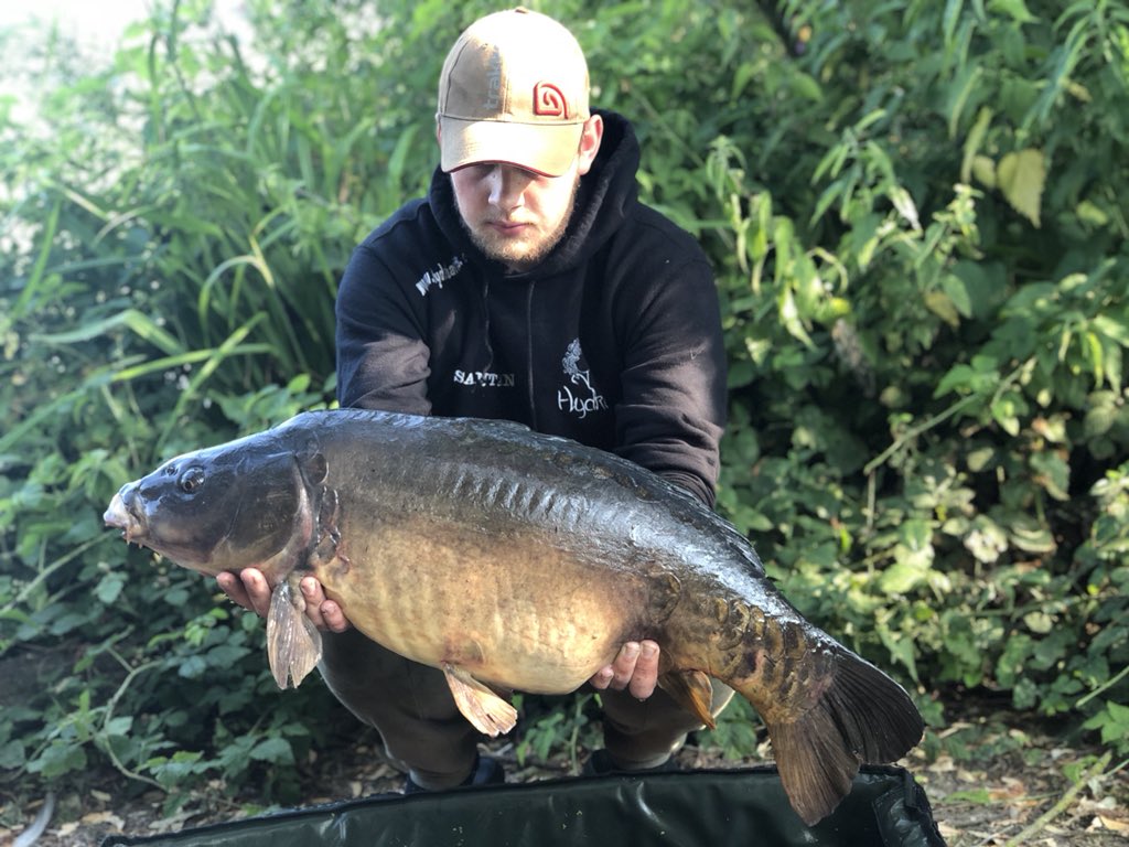 jjangling's tweet photo. What a stunning carp 22.01lb of old English mirror. What a way to kick off a new start on @ViperTackleLTD using a bottom bait rig on a long shank viper hook size 6 accompanied by half a @hydrabaits hades pop up. The original mirror is my second fish on a new syndicate. https://t.co/nwBDD5KzX8