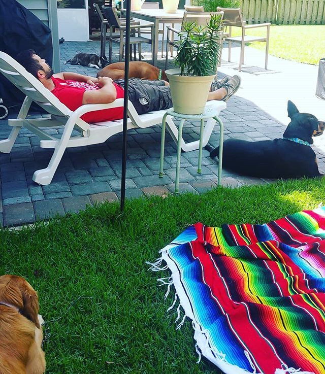 Dog Days of Summer. 4 🐕's to be exact. #dogvisitors #backyardnaps ift.tt/2MZisG0