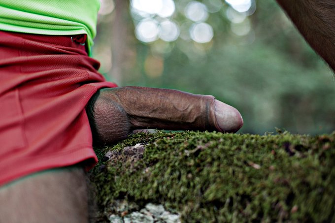 Forest, tree, dick
@hookupsonly100 @L_K_4 @HotRatemydiiick @zakj500 @aligais75 @BUDWATCHER2 @brunomorilloHOT