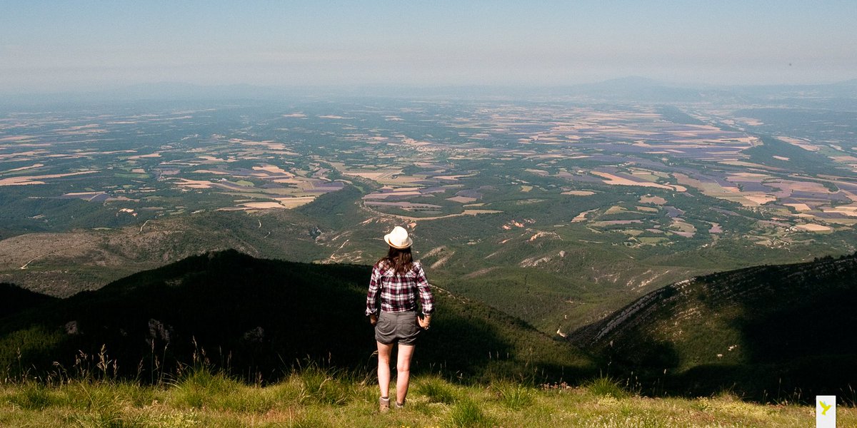 lolo2774's tweet photo. Le plateau de Valensole depuis le Montdenier : une mosaïque de culture
#AlpesDeHauteProvence #MyProvenceAlpes #Mon04 https://t.co/1LYSSFLwyP