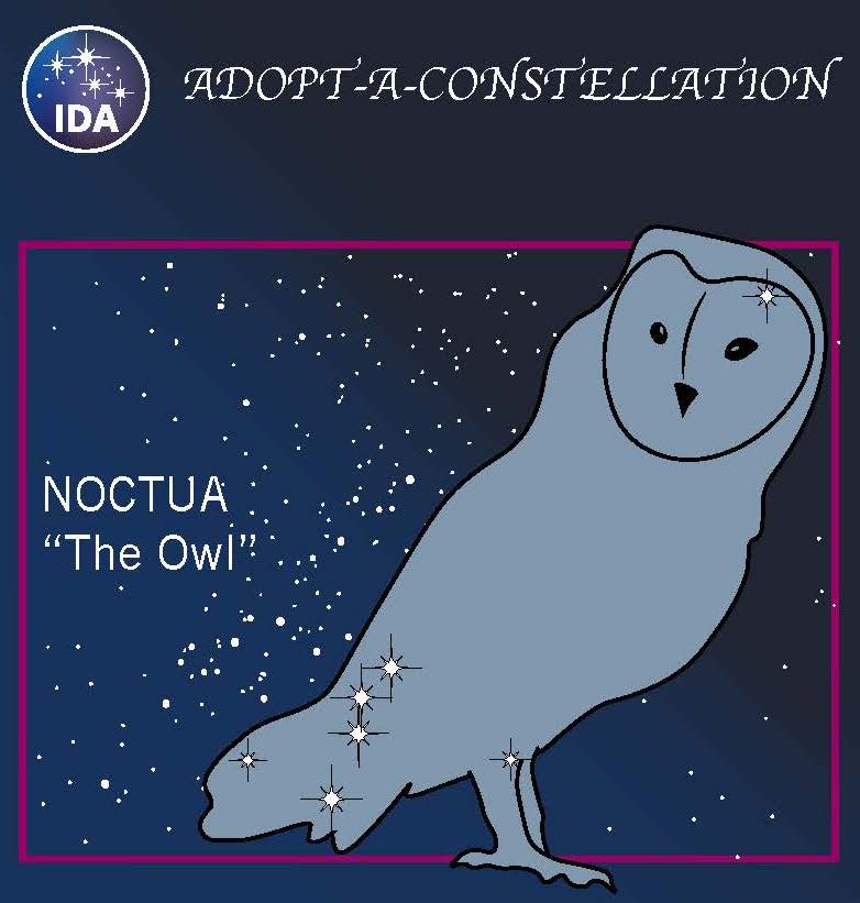 IDADarkSky's tweet photo. You won’t find Noctua, “The Owl,” on a modern star chart but now you can adopt this “extinct” constellation by making a donation. Your gift will help us fight light pollution for animals that need the night like owls, sea turtles, fireflies, and more. https://t.co/sMJ6r5otwx https://t.co/sED8fa0UG4