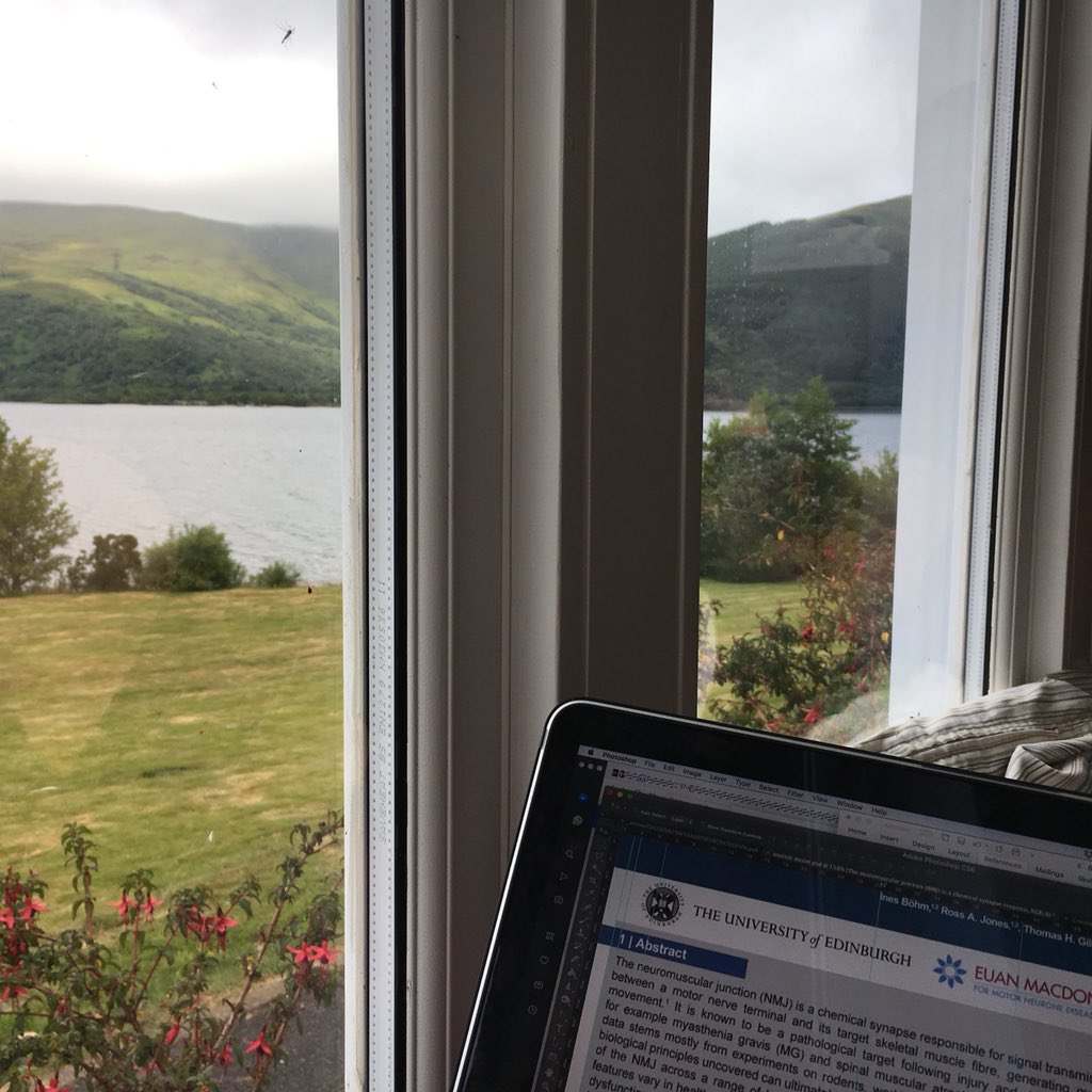 ines_boehm's tweet photo. Best view to brainstorm π§ on that poster this morning before heading back home! #TeamNMJ #Dramboree2018 #PhDLife #PleaseLetMeStay https://t.co/whUIb42yRC