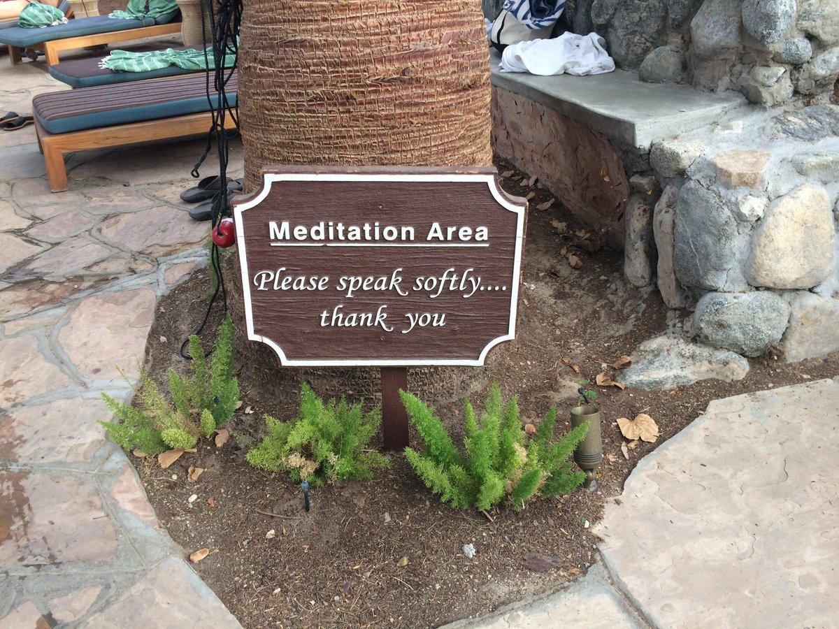 AmyDresner's tweet photo. Taking bets on how long before Iβm kicked out #twobunchpalms https://t.co/UUIMpXUeRR