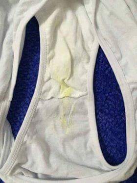 Bis kokulu kilot takipçisin yengesinindir