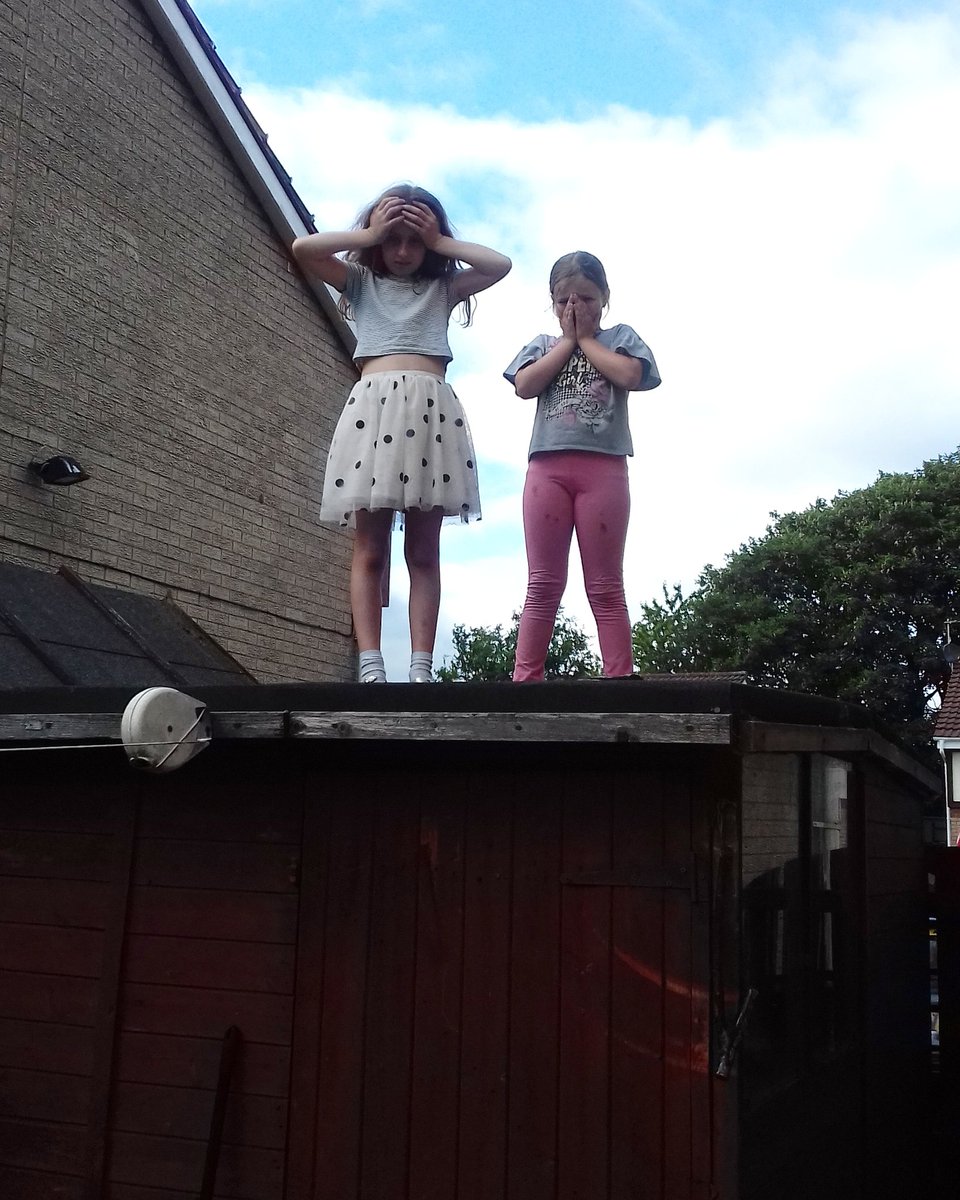 Jackie7681's tweet photo. Was wondering what the noise was at the side of the house...so I go out to look and find my 7 year old Cianha Grace and her wee pal Lilly on top of the shed..π³π³π³π³ #caughtaπ #lookattheirfaces πππππ https://t.co/ccH6T63SJv