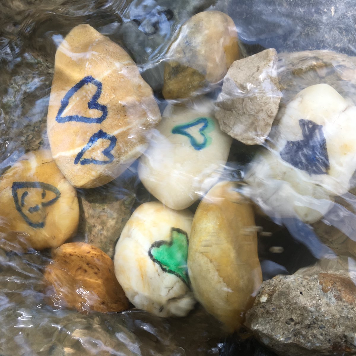 jcdelolmowwf's tweet image. Más claro, el agua...
Demasiados ríos expoliados, troceados y contaminados
En #España y #UE no se cumple la ley que protege el agua!
En 18 países hemos pedido a nuestros gobiernos que cumplan la #WaterFrameworkDirective y no la rebajen
#BigJump @Teresaribera @Moran_Fernandez