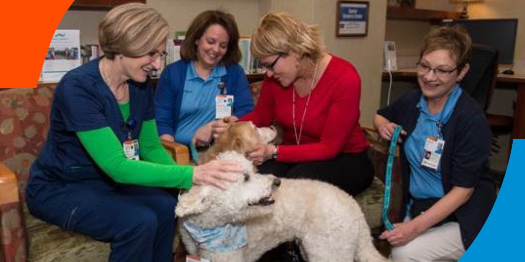 SummaHealth's tweet photo. Summa Health has a totally pawsome way to brighten our patients’ days. See what WAGtime is all about. https://t.co/nwgh92OvV8 #WAGtime #pawsome #VolunteerDogs https://t.co/gXq394pO9S