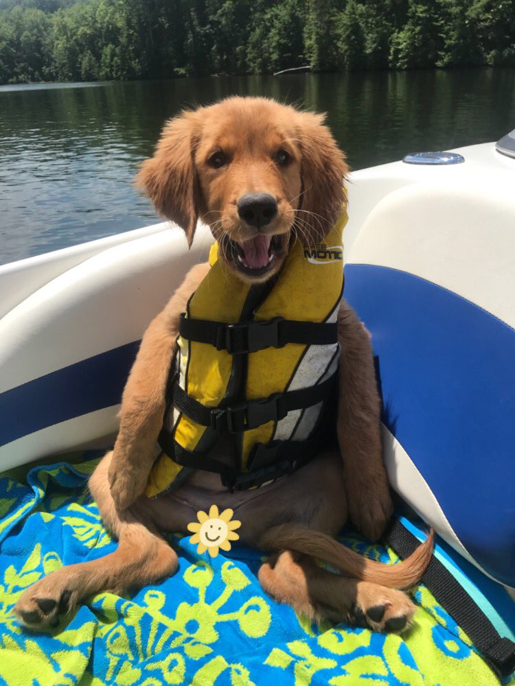 sydsmith_22's tweet photo. not a fan of life jackets https://t.co/pn5HRUERWa