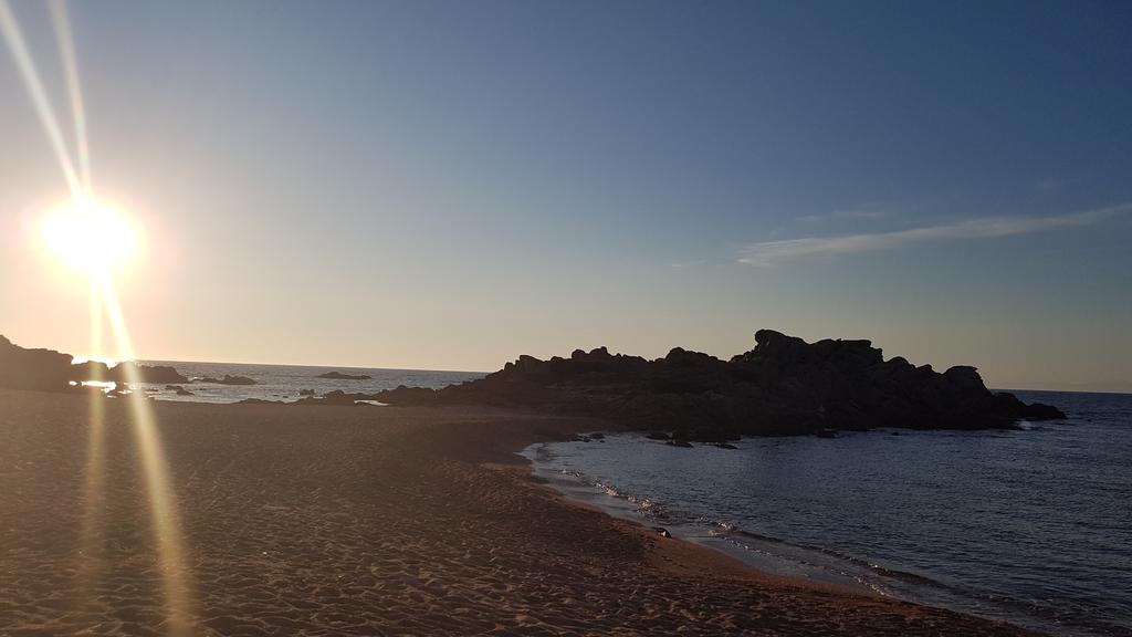 carolt22's tweet photo. Beautiful evening on the beach. #Sardinia https://t.co/6pPiqgmmPW