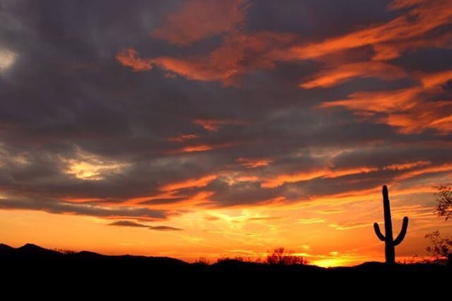 SharonKyle00's tweet image. On Imagery, Progression, and Engineering - # #bridgebuilding #engineeringresearch #portlandcement #progressiveissues - ift.tt/1IHKjC3 ift.tt/2MYlzhd