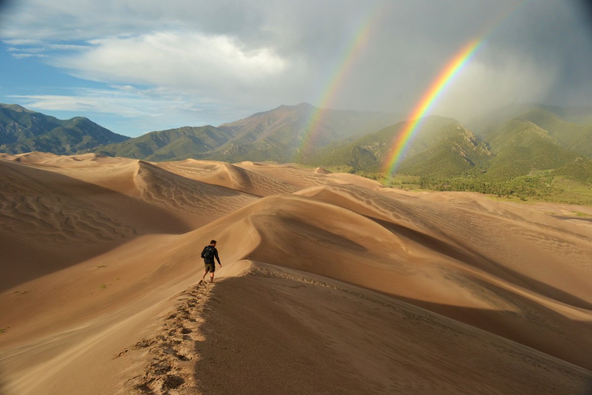 Michiko Martin tweet media