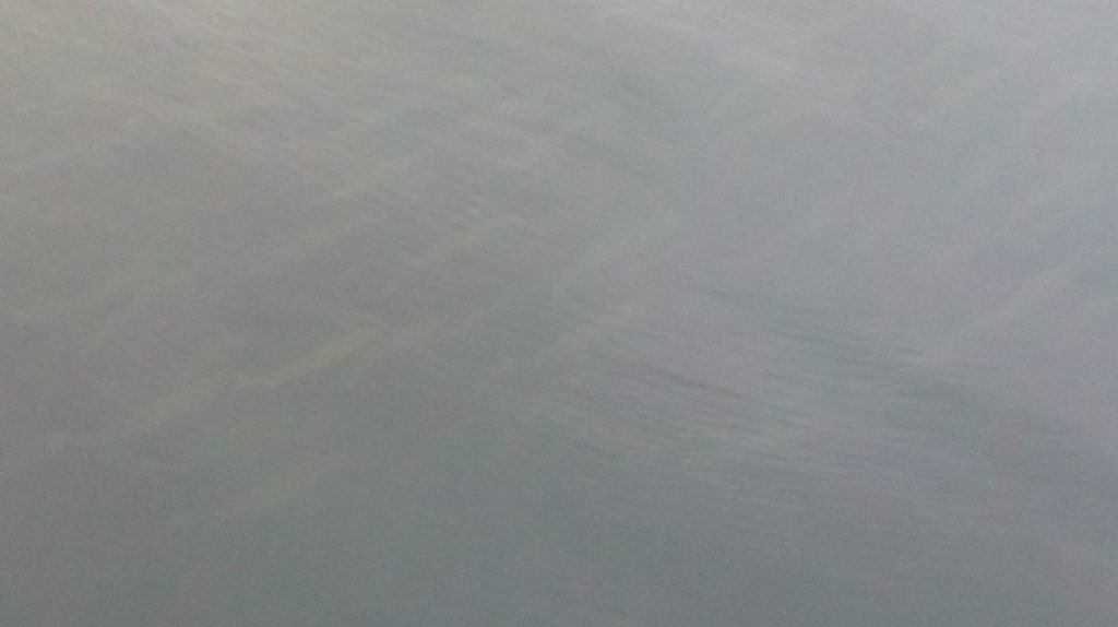 FraserMckechnie's tweet photo. Salmon at Thurso Harbour 🐠 #Thurso #nc500 #Salmon #fishing #scotland #thursoriver https://t.co/XFjVFHtYK9