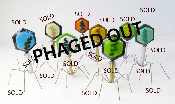 trilobiteglass's tweet photo. Phage population in the critical habitat area at Trilobite Glassworks Studios was decimated last month, after a major dispersal event at #asmmicrobe2018 in Atlanta. Species recover plan was implemented. #PhageRecoveryProject (PRP), #ASV2018 #SciArt @amerSocviorology https://t.co/XgusBUrtfT