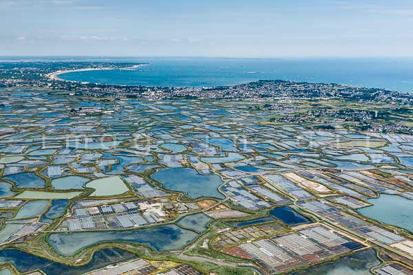 Planète Océan 🌊 tweet media