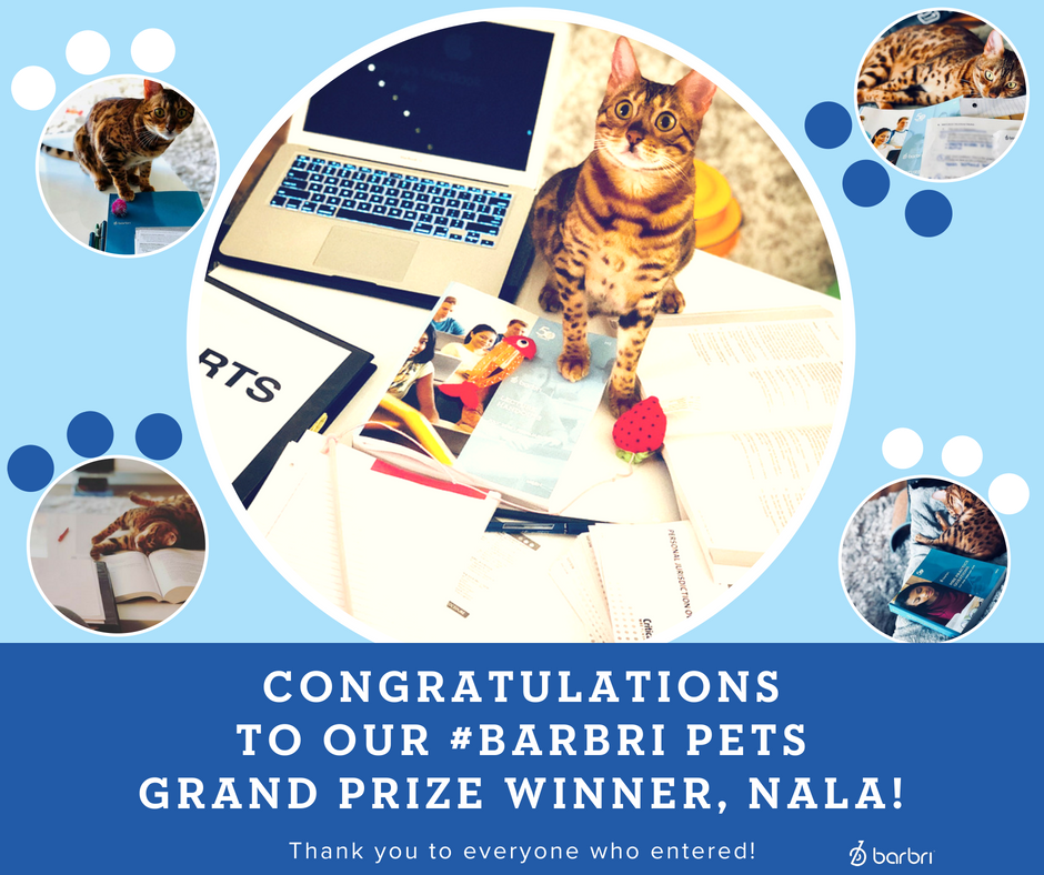 barbri's tweet photo. The grand prize winner of our #BARBRIPets contest is Nala! It definitely was not an easy decision and we want to thank everyone who entered their loyal #studybuddy! 

#BARBRI #OwnTheBar #BarBreak #BarPrep #BarPrepLife #lawschool #BarExam #LawStudent #FutureLawyer #Bar2Bar https://t.co/KEnDwhqjTf