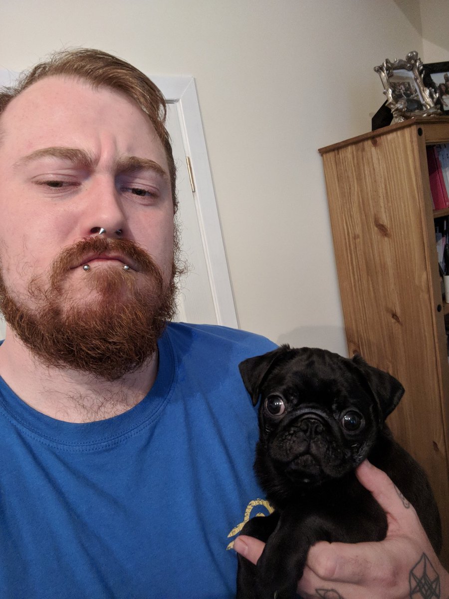 CountDankulaTV's tweet image. Say hello to the new guy.