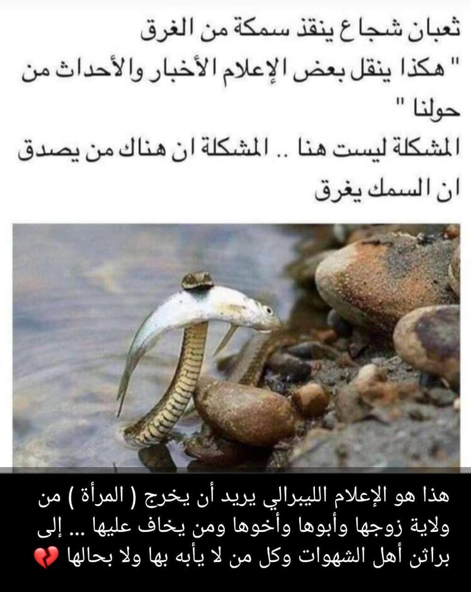 هذي حقيقة الإعلام السعودي وحقيقة البرالين الخونه يريدون إخراج المرأة السعودية من دينيها وحجابها وجعلها سلعة رخيصه ولاكن والحمد لله ربي رد كيدهم في نحورهم وأثبتت أن المرأة السعودية الأصل وضع خطين عند الأصل للي أصولهم سعودية أثبتت أن الإعلام المنحط لن يأثر في عقيدتهم