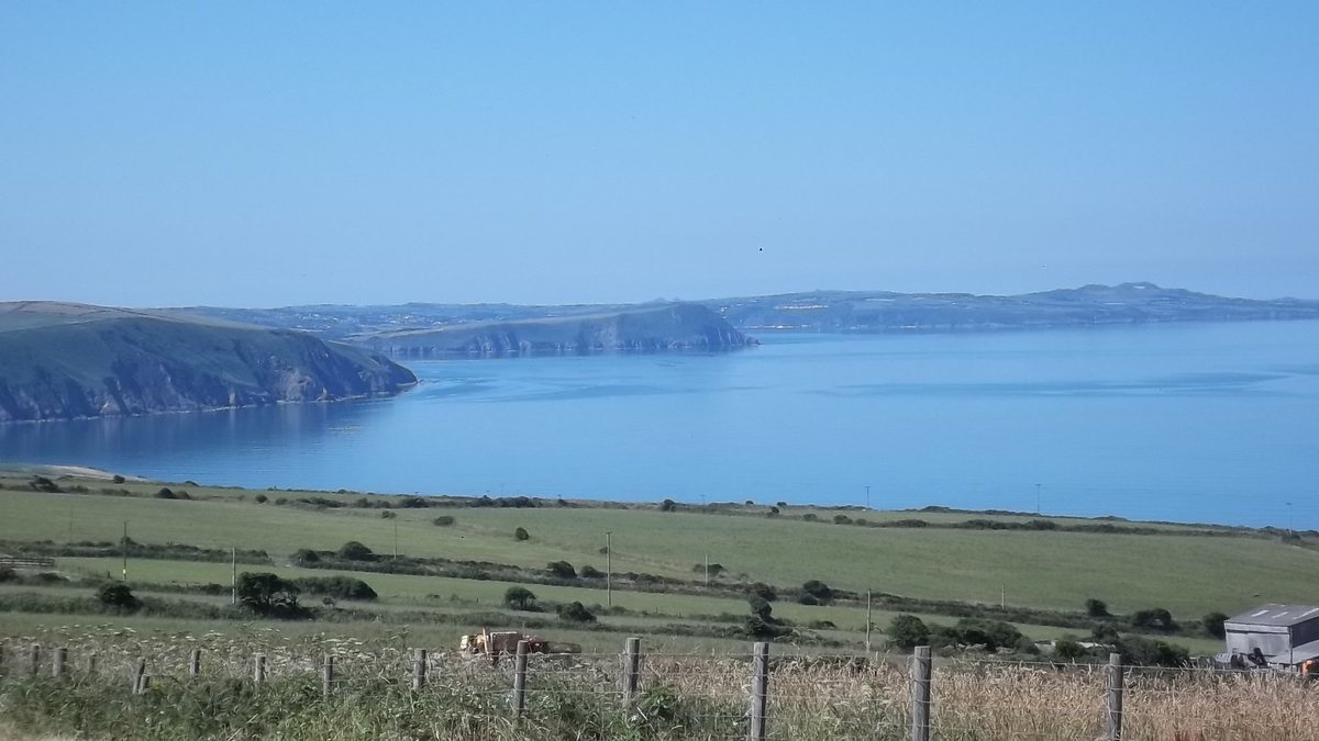 emlynevan's tweet photo. #bogbasic farmer trying to climb the technology ladder . . . went out yesterday and spent all of £20 on a digi camera and a bit of wire !  #coastalfarm #westcoastofWales 🏴󠁧󠁢󠁷󠁬󠁳󠁿🏴󠁧󠁢󠁷󠁬󠁳󠁿 https://t.co/fhy37DqShG