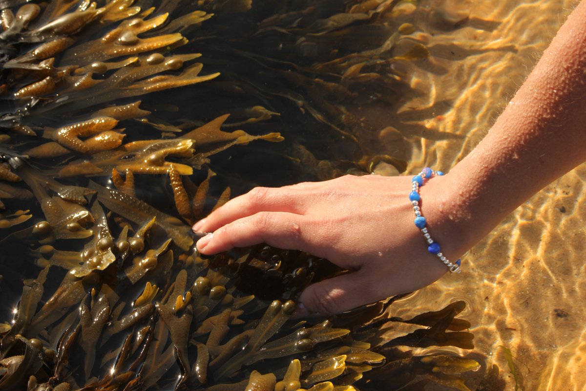 MediBioSense tweet media