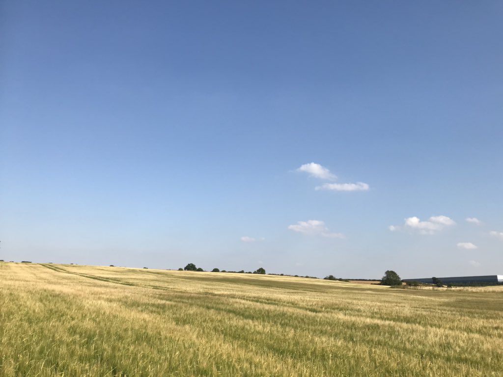 Beautiful #Northamptonshire #countryside #blueskies #whispyclouds #Thrapston #Islip #WoodfordMill #NeneWay #NorthamptonshireSkies @LincsSkies #SundayWalk 8July2018