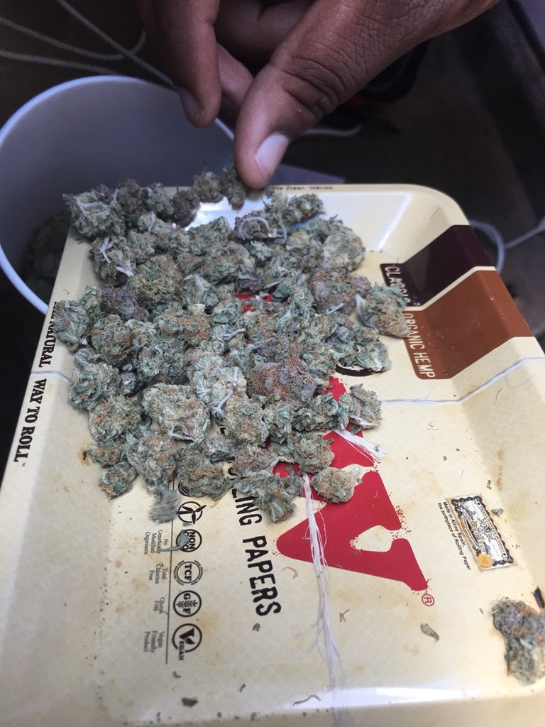 ThatGuyHaydee's tweet photo. 🍇🍇🍇😋😋⛽️🔥... @RAWLIFE247 📸:@ThatGuyHaydee #nofilter https://t.co/EQUp46Cb0E