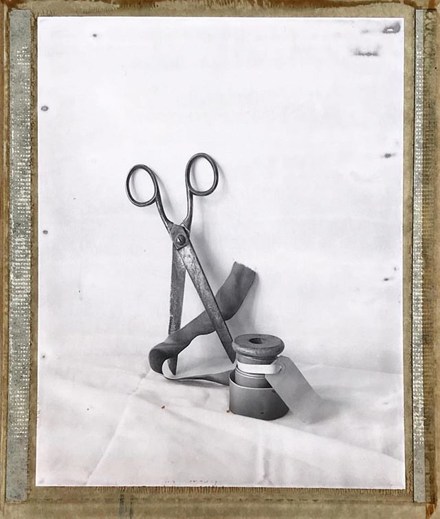 PolaroidReturns's tweet photo. A beautiful Typ55 by @merrimayhem 
#polaroidreturns https://t.co/rLjIYtBHvr https://t.co/h9Tdxd5AGC