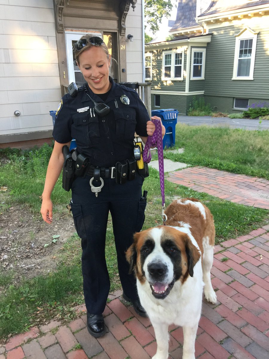 LOST DOG!!! Female St. Bernard found in the area of Clifton St. and Forest Av. Please call 874-8575 immediately if you know who this dog belongs to