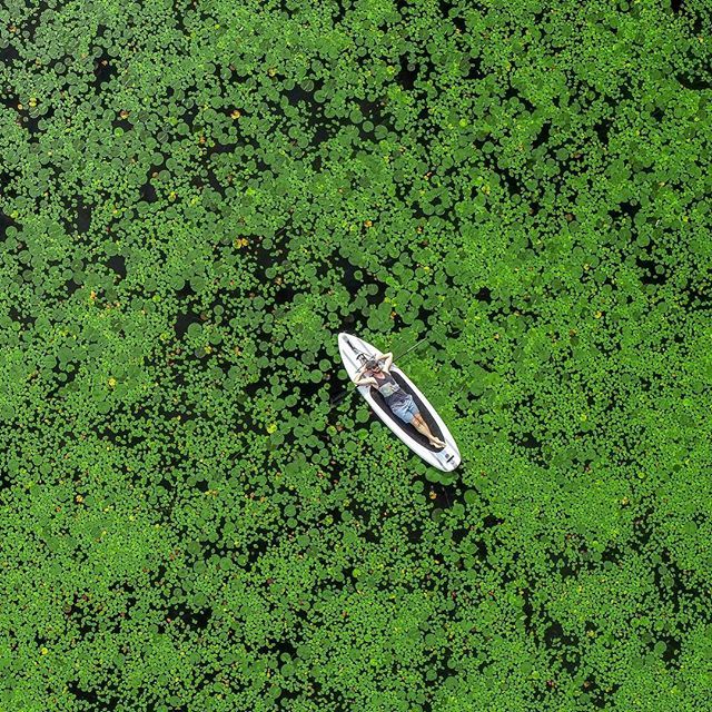 kylehs's tweet image. In-between shoots in MSP and Boise, got a little RnR at the family cabin in northern WI. In this moment I’m trying to figure out what the hell to make of Westworld S2 🤷🏻‍♂️ 📷✈️: @brooks_goon ift.tt/2m1MaP6