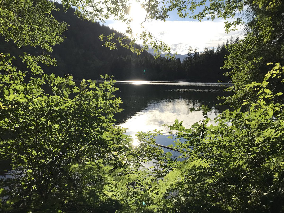 PoppyetPeach's tweet photo. ✨ perfect Sunday to get in the car and go for a drive to a beautiful lake in the mountains. #happyplace #explore #hike #trailhiking #nature #lake #summer #sun #sand #bugspray #outdoors #greatoutdoors #roadtrip #daytrip #music #vancouver #alicelake #squamish #provincialpark #bc https://t.co/byEhMtmw4y