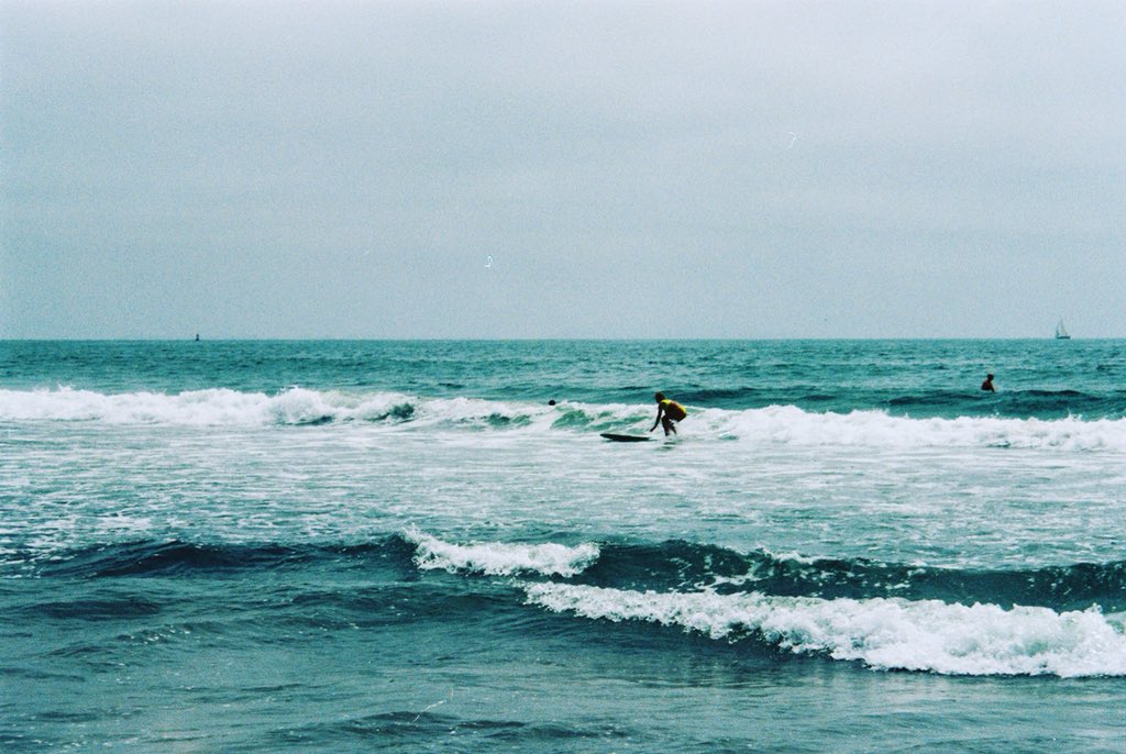 Croc Lesnar tweet media