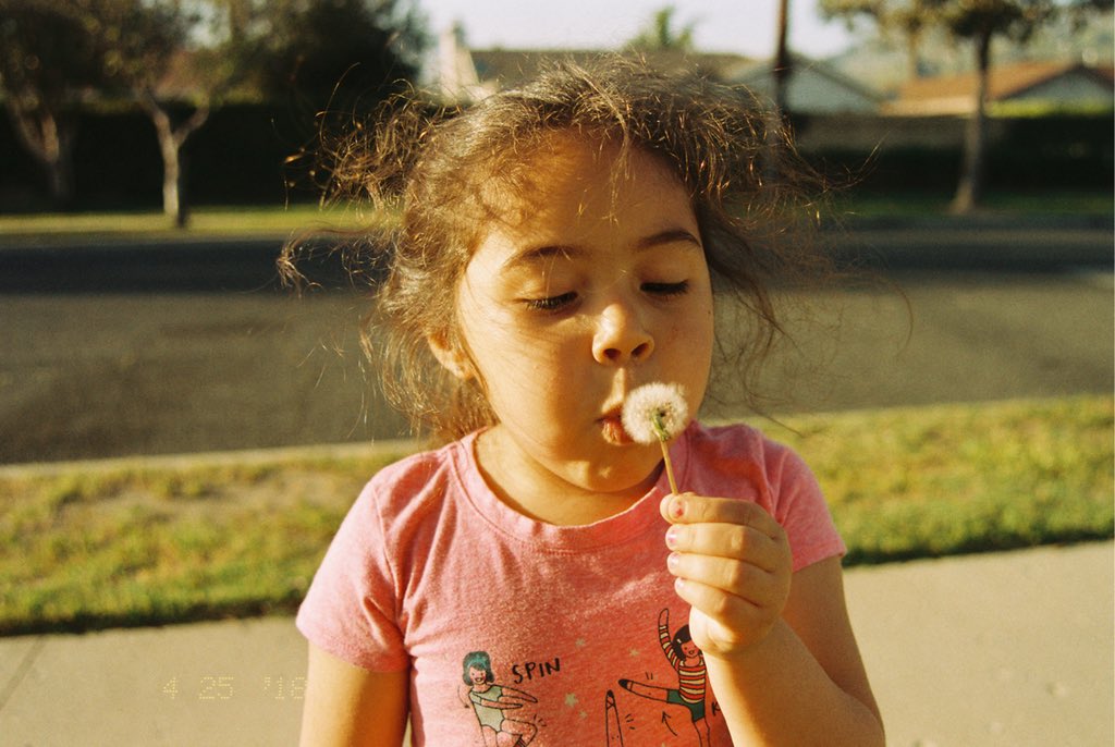 Croc Lesnar tweet media