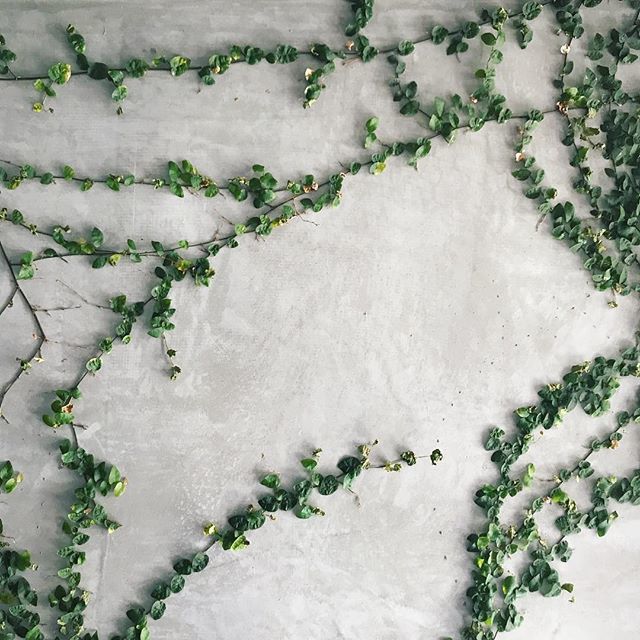 brunchpants tweet media