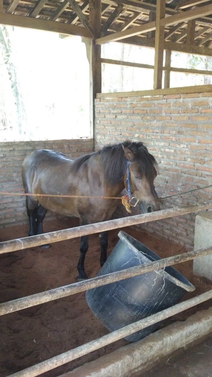 Udarayoga Hashtag On Twitter Udarayoga Hashtag On Twitter