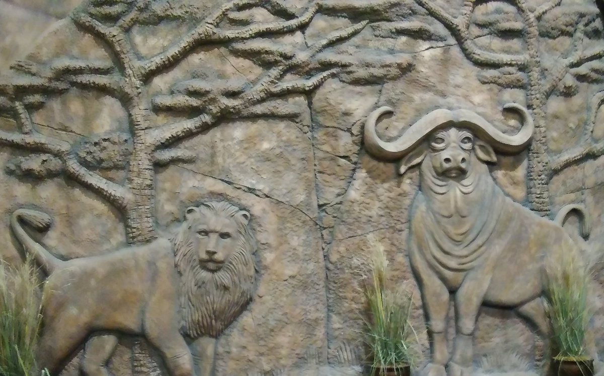 mostlylost_rv's tweet image. Can you tell we're in Wisconsin?😜