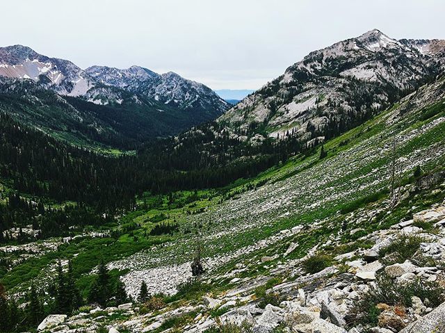 zoesymon's tweet photo. Another from this weekend. For sure one of my favorite backpacking trips ever. ⛰🏕
.
.
.
.
.
#publiclands #loveyourpubliclands #thislandisourland #wilderness #nationalforest #upperleftusa #oregon #oregonexplored #outdoors #sleepoutside #keepitwild #na… https://t.co/gCiMwuxfgH https://t.co/4C4WyA49h1
