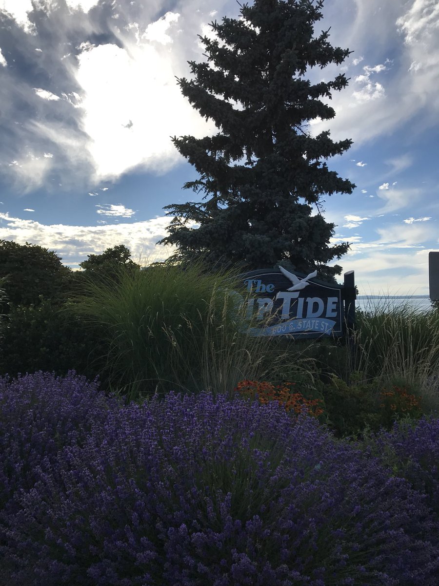 Mimiismimi2's tweet photo. #Sunheart🕊
#Lavender💜
#PNW💕
#Getoutside 🙏
✌🏼😍 https://t.co/vn1yIXO36h
