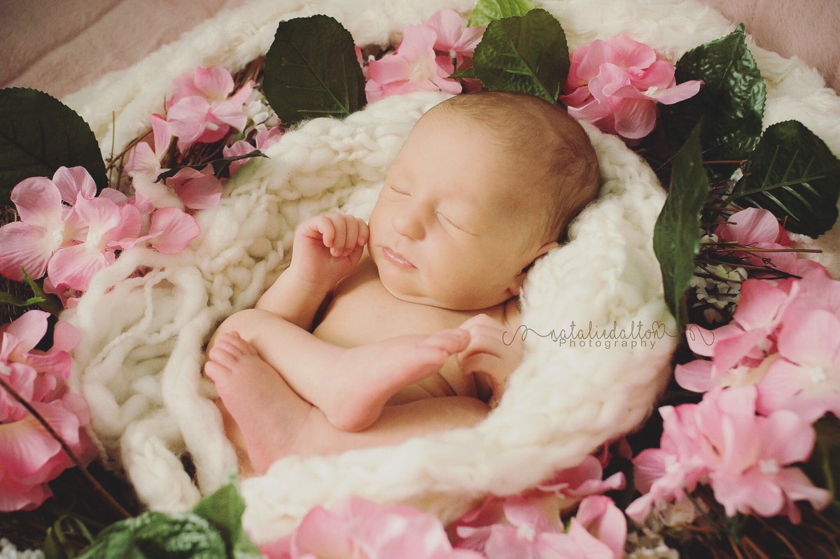 TimNatPhoto's tweet image. Some more pictures from today’s #newborn session 😍 I’m in love. #NatalieDaltonPhotography #newbornphotographer #newbornphotography #myrtlebeachphotography #photographer #photography