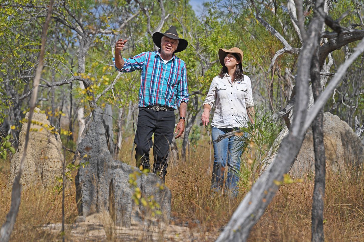 BushHeritageAus's tweet photo. Good news story by @p_hannam @smh Protecting the habitat of the endangered Golden-shouldered parrot side by side with #olkola, less than 2,000 left across Cape York https://t.co/MTYAcgpjbb pics Brian Cassey / Geoffrey Jones https://t.co/gt8HBNbRtJ