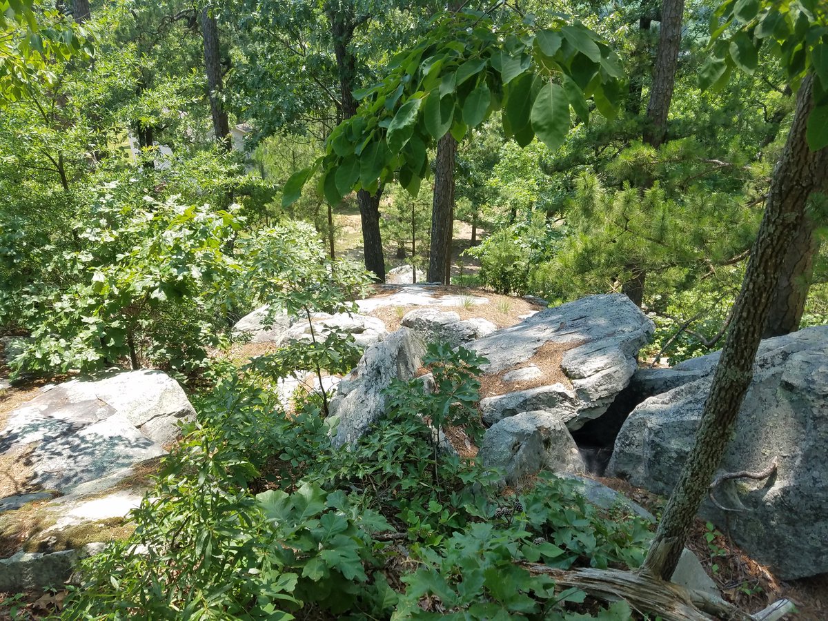 SophiaScientist's tweet photo. Went to "Big Rocks" at one of the highest points of Crowley's Ridge to shoot a video. Amazing formations. #arkansas #geology #science #CrowleysRidge #rocks https://t.co/VQbwOiV4B9
