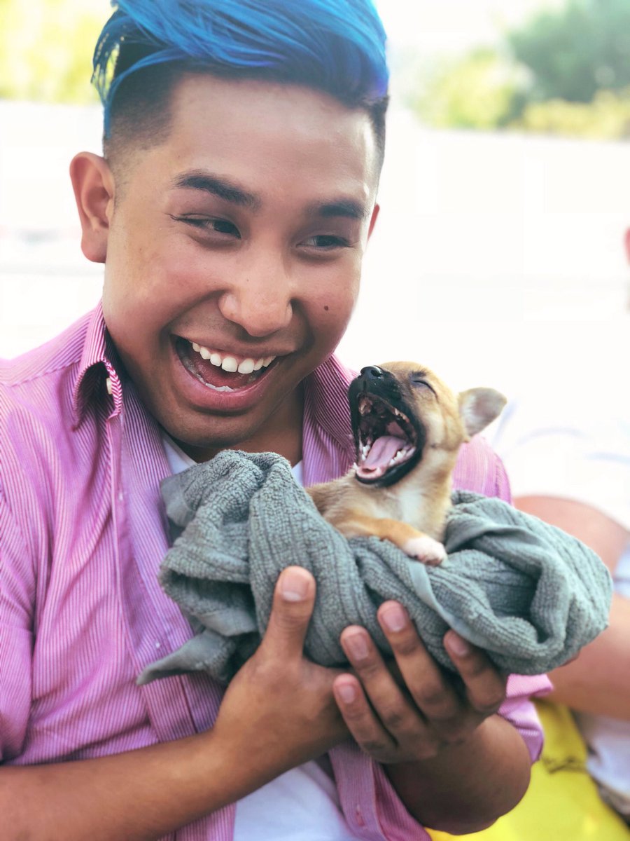 heyitspeterrr_'s tweet image. TWITTER HELP 😭🐶