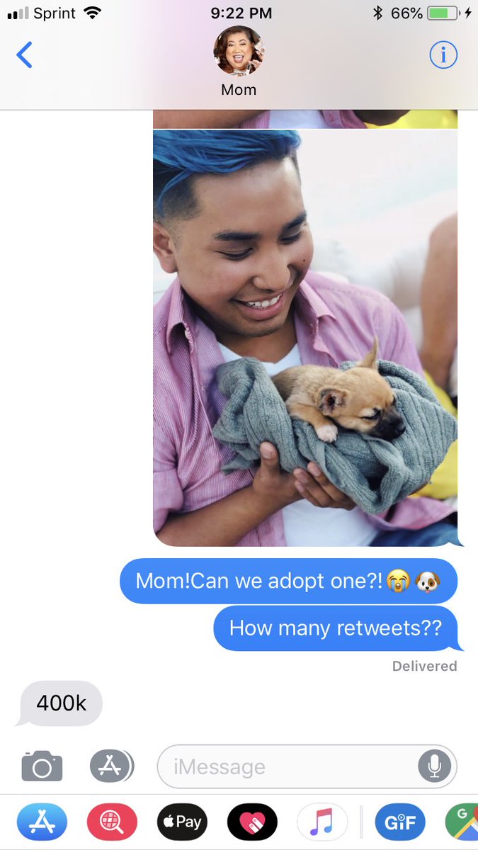 heyitspeterrr_'s tweet image. TWITTER HELP 😭🐶